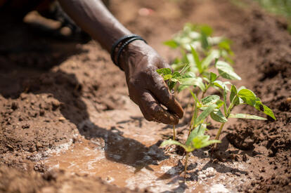 A water access point in Kenya